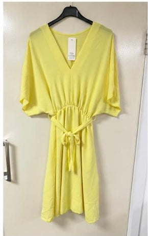 Tie Waist V-neck Dress
